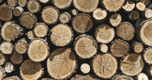 The increasing pressure on timber supply and prices